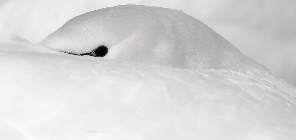 Monatsbilder Dezember 2017